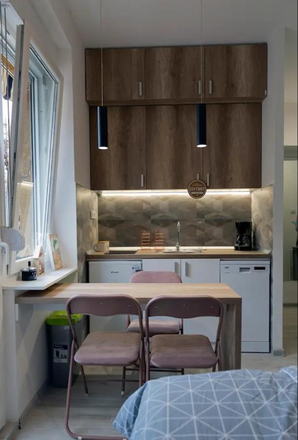 New Studio In The City Center Novi Sad Buitenkant foto